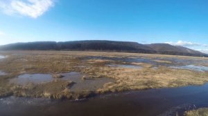 Охота на утку на Сахалине с подхода.