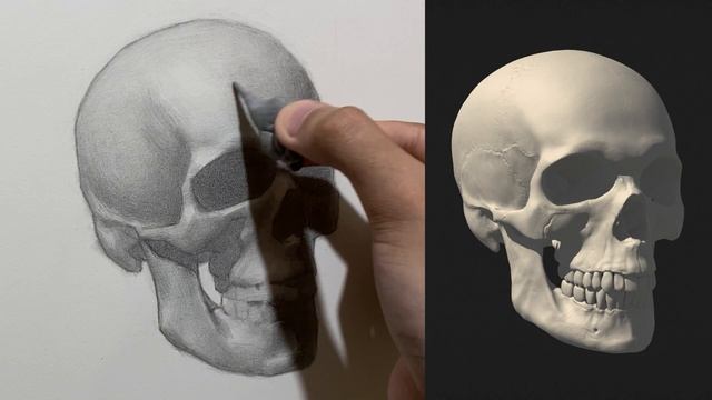 Drawing a Skull in Graphite pencil смотреть онлайн