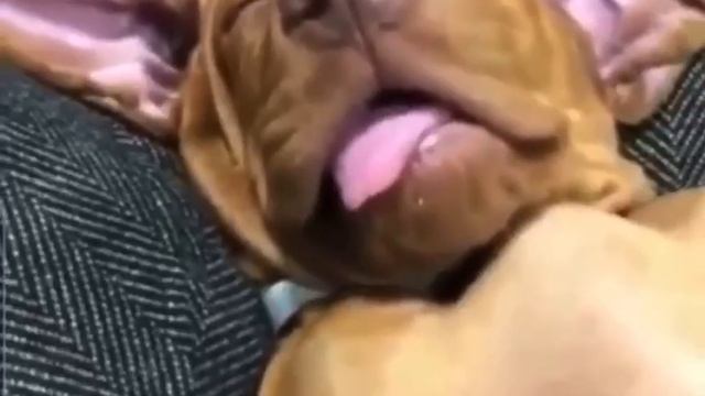 устал очень