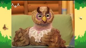 День в Шишкином Лесу. Рекорды. Долгожители