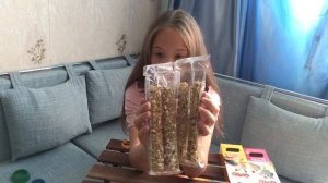 Куда деть хомяка на время отпуска?/ Кому оставить хомяка