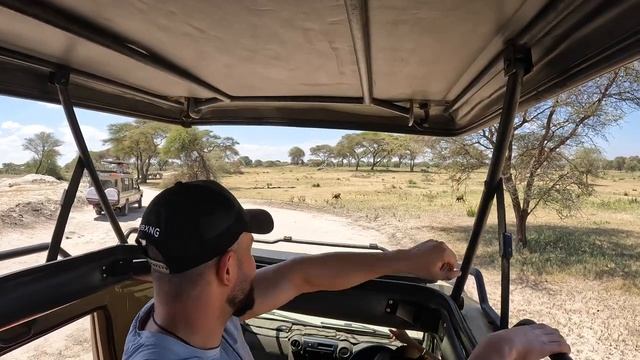 Crazy Animal Encounters in Tarangire, Tanzania ?? смотреть онлайн
