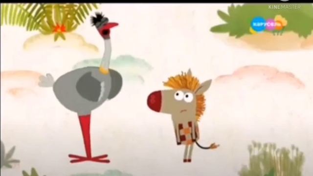 зебра в клеточку на канале карусель