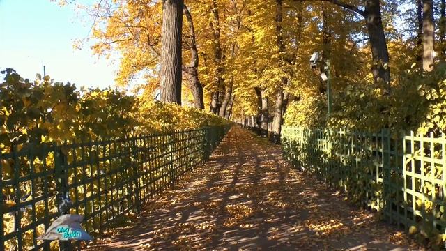 Осенний Летний сад смотреть онлайн