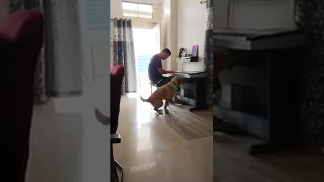 Git ring•na changgipa Rev. Sengrang P Marak-ni Achak. смотреть онлайн