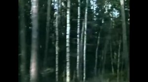 Ильхам Шакиров «Сэфэр»