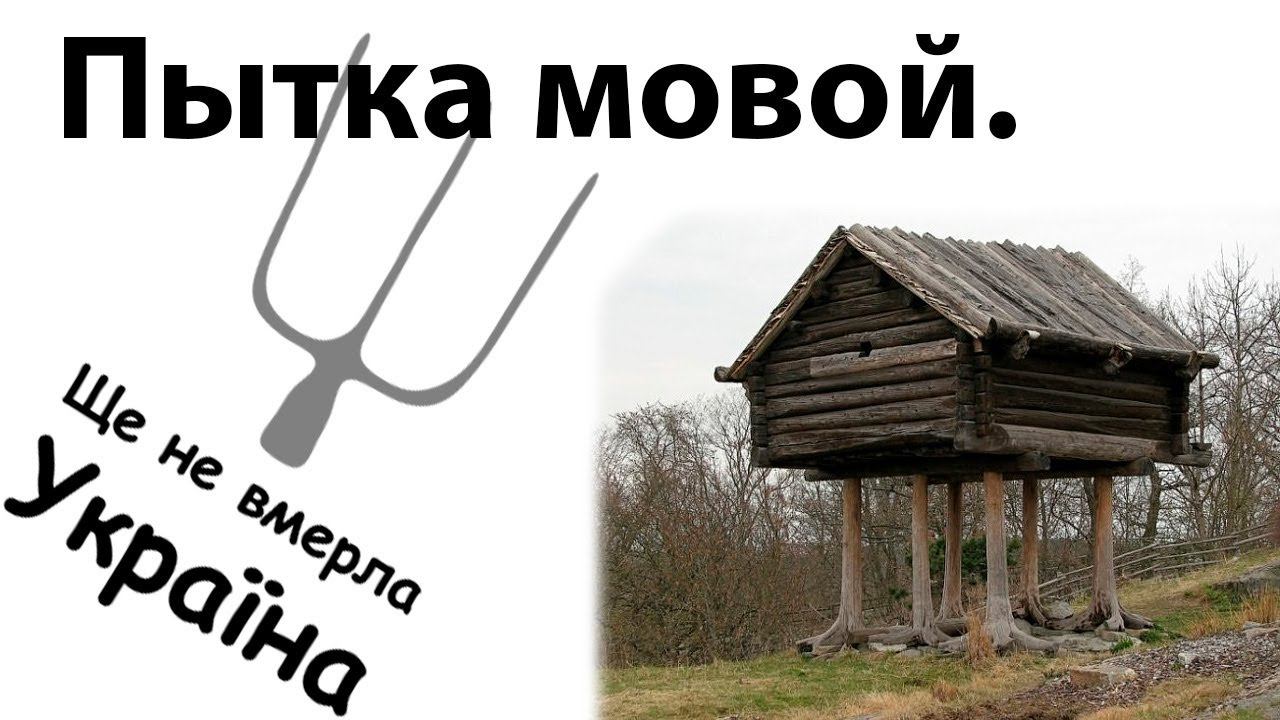 Их легко запутать и обмануть. Критическое мышление. Вечная перемога. #чатрулетка #навоз #украина смотреть онлайн