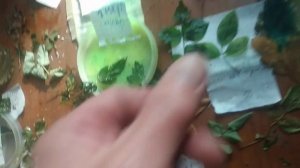 СТАБИЛИЗАЦИЯ ЦВЕТОВ НОВЫМ СПОСОБОМ.