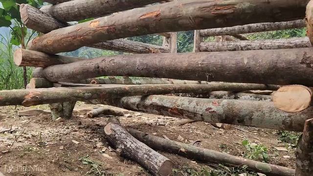 Harvest Bamboo Shoots To Go To The Market To Sell | 365 Days Living in the Heart of the Earthquakes смотреть онлайн