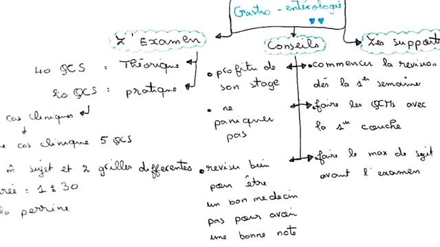 ?vue globale sur le module de gastrologie ? смотреть онлайн