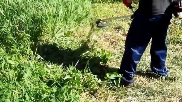 Мотокоса (бензокоса) IKRA Mogatec BF 25