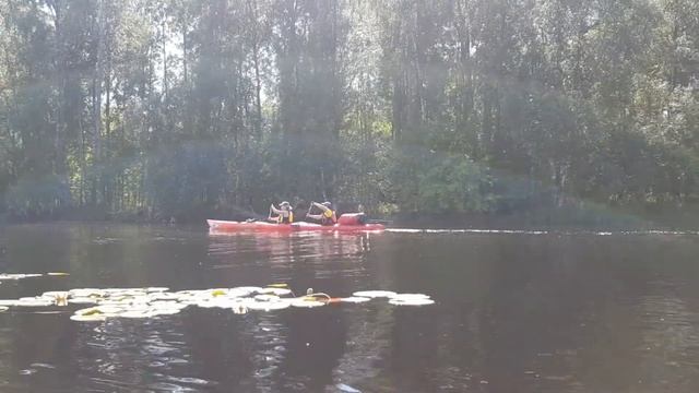 Водный #ширпоход -- Вуокса 2021 смотреть онлайн