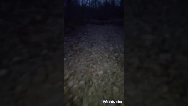 поехали в лес и чуть не застряли смотреть онлайн