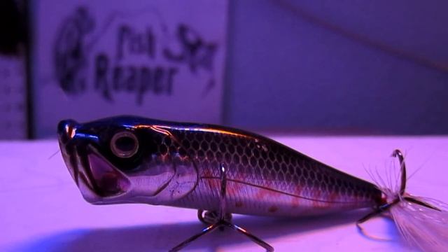 EastBayAnglers River 2 Sea Bubble Pop 65 Lure Review смотреть онлайн