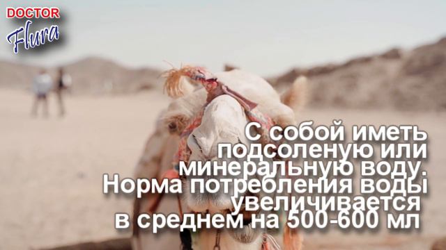 В каком количестве пить воду смотреть онлайн