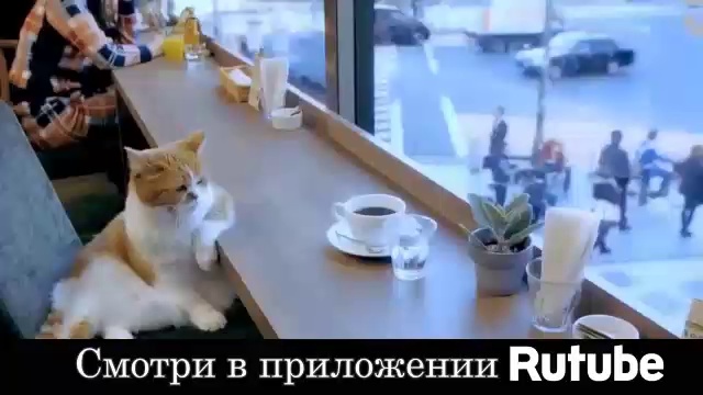 Топ месяца. Смотри лучшее видео месяца в приложении Rutube!