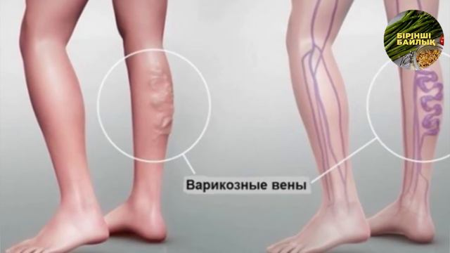ҚҰЙРЫҚ МАЙДЫҢ ПАЙДАСЫ