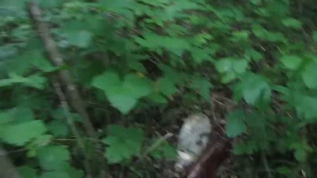 УБОРКА МУСОРА с БЕРЕГА РЕКИ | УБРАЛ мусор смотреть онлайн