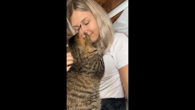 СМЕШНЫЕ КОШАЧЬИ МЕМЫ СБОРНИК 2022 Номер 98 смотреть онлайн