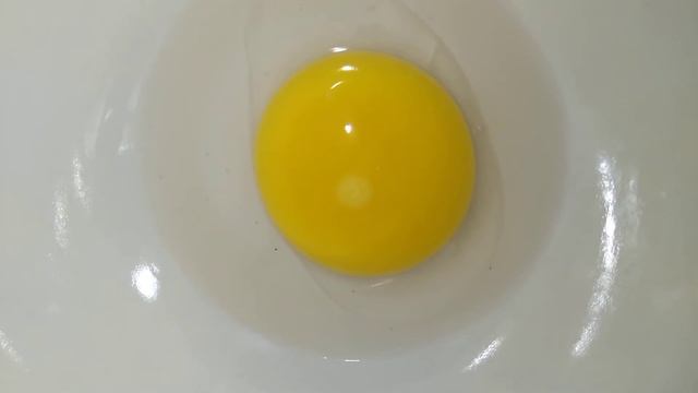 Как определить оплодотворенное ?яйцо или нет?. смотреть онлайн