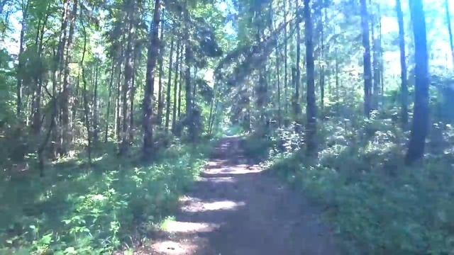 Московская область. Усадьба Абрамцево. Хотьково. Софрино. Подмосковье. Путешествия по России смотреть онлайн