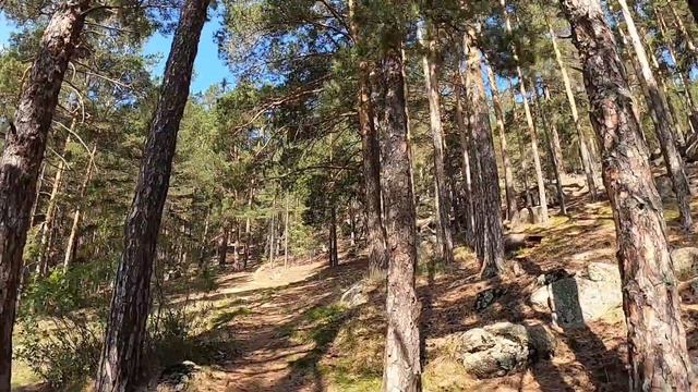 Путешествие по Казахстану на машине. Бурабай. [2 часть] 카자흐스탄 여행, 부라바이 смотреть онлайн