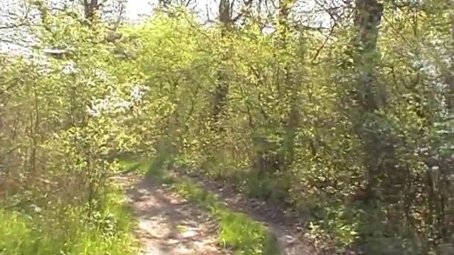 Рыбацкая стоянка на озере - выбор места смотреть онлайн
