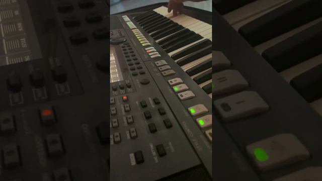 solo nốt bài HOA NỞ KHÔNG MÀU organ смотреть онлайн