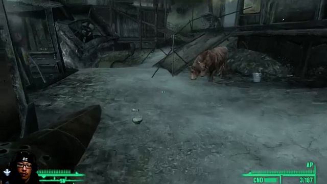First Time Playthrough of Fallout 3 | Day 14 | Evergreen Mills, Vault 112, etc. - 1 / 3 смотреть онлайн