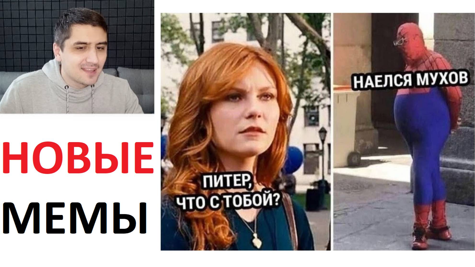 Новые мемы. Человек-паук наелся мухов смотреть онлайн