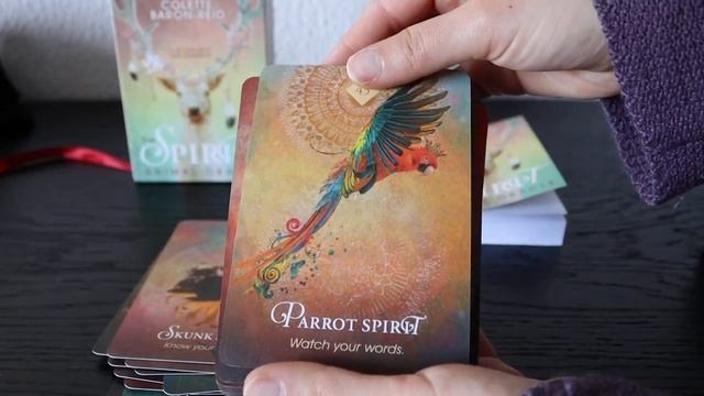 ☼ The Spirit Animal Oracle Deck ☼ Flipthrough! смотреть онлайн