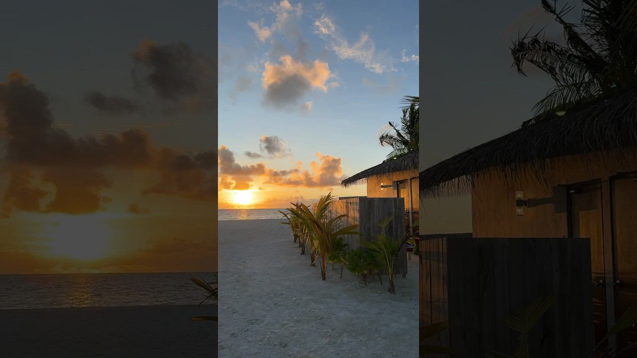 больше кадров во влоге #влоги #мальдивы #maldives смотреть онлайн