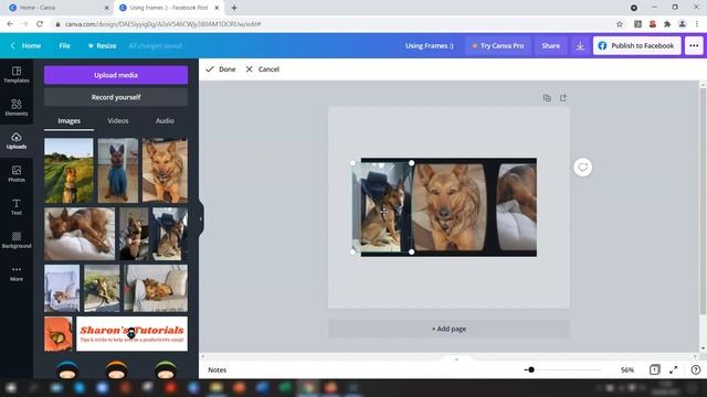 How To Add Photos To Frames In Canva смотреть онлайн