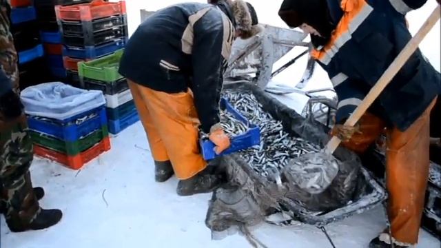 (ДЛЯ ГЛУХИХ) ИВАСИ -СЕЛЕДКА смотреть онлайн