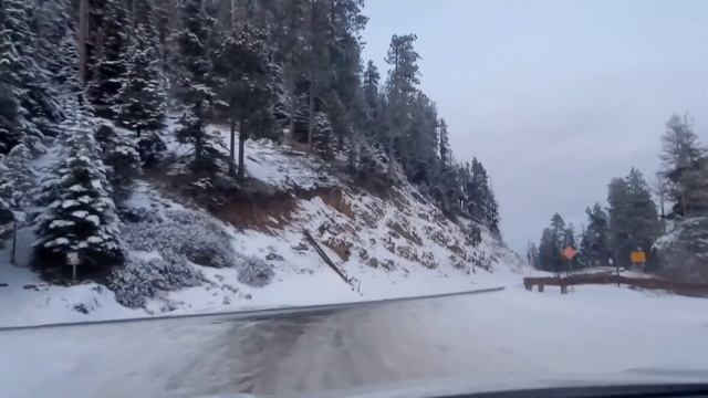 Наша жизнь в США. Рождество в отеле. смотреть онлайн