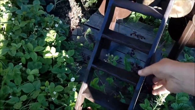 Избушка на курьих ножках обзор смотреть онлайн