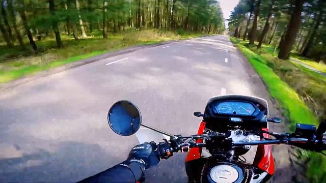 HONDA NX 650 DOMINATOR (PURE SOUND)