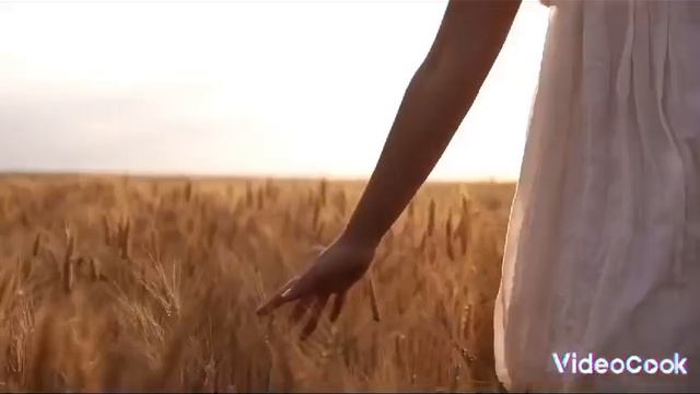 Стихи забайкальского знахаря. Примите с благодарностью. Почувствуйте своей душой ее душу. смотреть онлайн