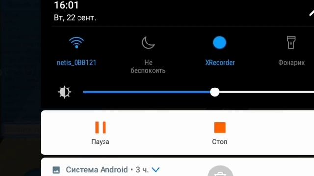 ~Смешные моменты~ в "Cute Pocket Cat and Puppy 3d" и "Cat and Puppy World" Top funny moments! смотреть онлайн