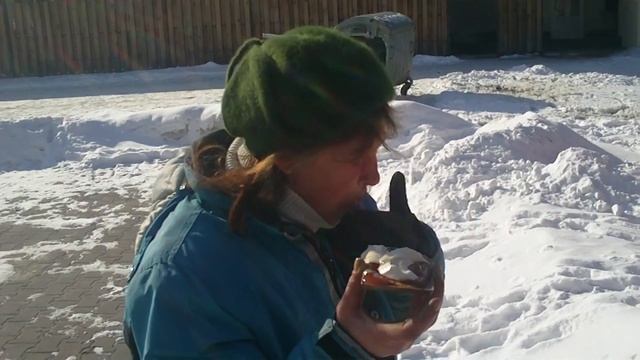 На что готовы люди за деньги / Шоколадный сендвич смотреть онлайн