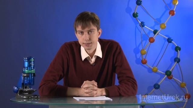 Сообщества живых организмов. Видеоурок по биологии 11 класс смотреть онлайн