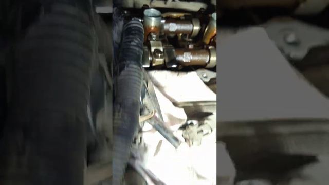 Жизнь и приключения