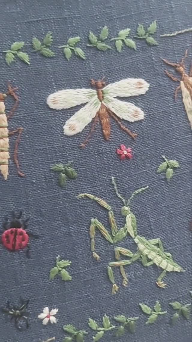 Большой семплер НАСЕКОМЫЕ смотреть онлайн
