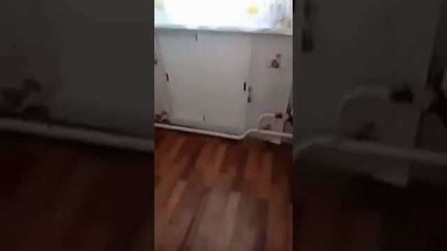 3-комнатная квартира в п.Ленинск, г.Миасс смотреть онлайн