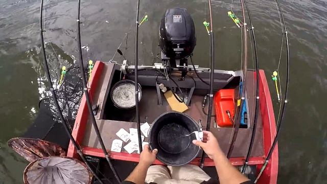 КЛЕВ ПЛОТВЫ И лещА в ЛИВЕНЬ