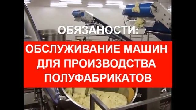 Работа на фабрике полуфабрикаов в Польше город Краков ( для семейных пар ) смотреть онлайн