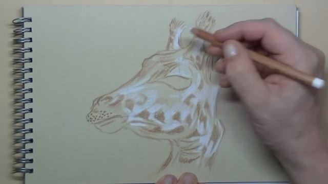 Easy GIRAFFE for beginners Pencil drawing смотреть онлайн
