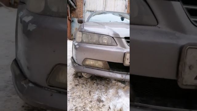 #кошка #кошечка #котята #зима #новыйгод #новыйгод2023 #HondaAccord #honda #toyota #avito #avto #16v смотреть онлайн