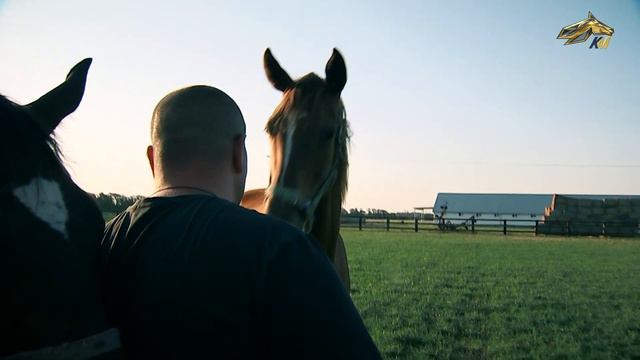 PRO_Лошадей. Донариум. 29 августа 2021 года. 17:10 смотреть онлайн