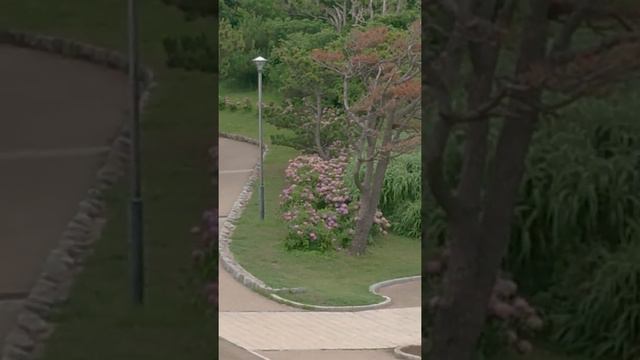 Japan. смотреть онлайн